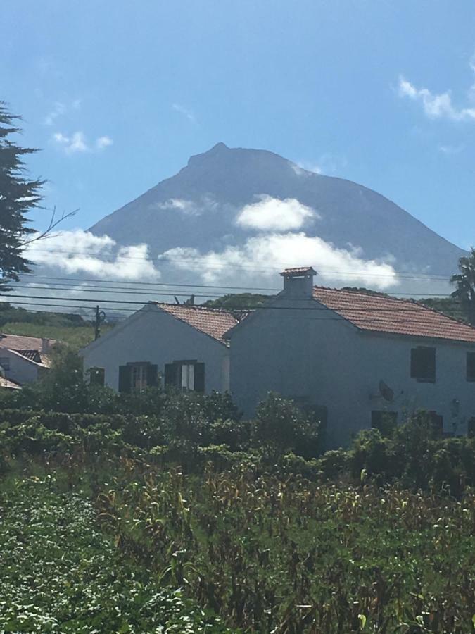 Home Pico - Casa Dos Cedros Criacao Velha Buitenkant foto